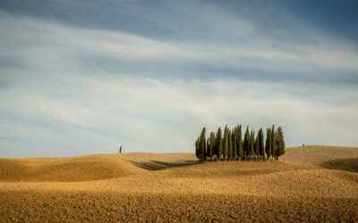 A Day in Tuscany: Exploring the Perfect Blend of Art, Wine, and History